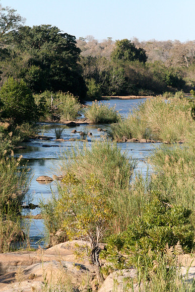 Kruger National Park, South Africa