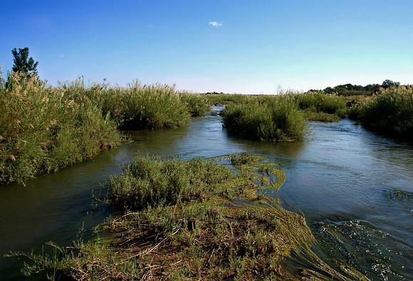 Kruger National Park, South Africa