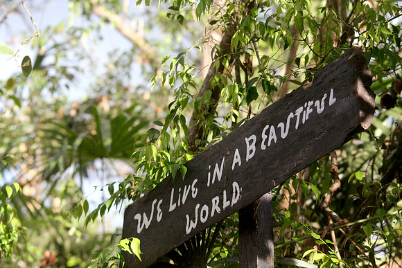 Belize Zoo, Belize City