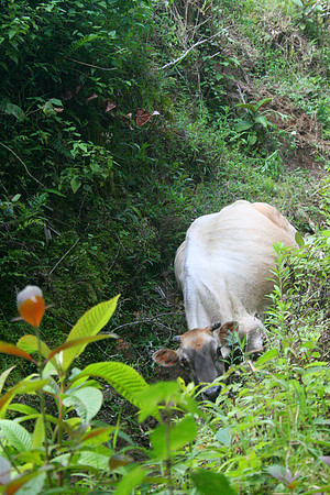 Monteverde, Costa Rica