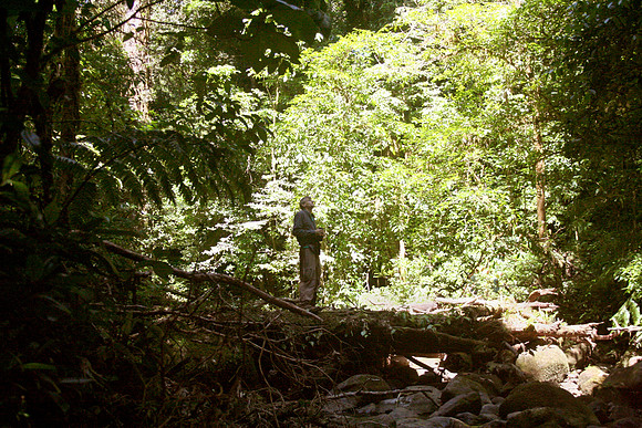 Aula Global Nature Preserve, Monteverde, Costa Rica