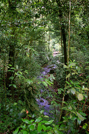 Monteverde, Costa Rica