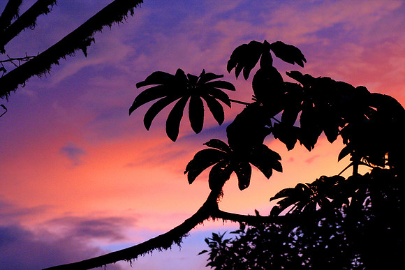 Monteverde, Costa Rica